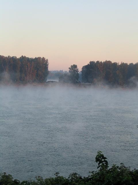 IMG 0386