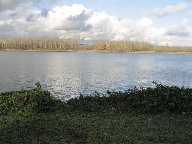 IMG 0527