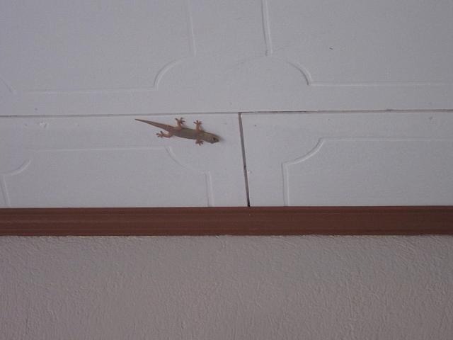 IMG 6893