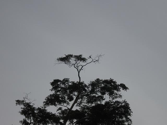 IMG 7122
