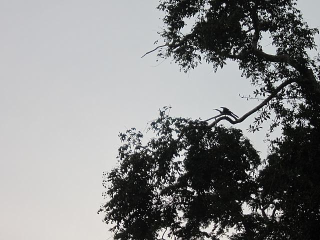 IMG 7132