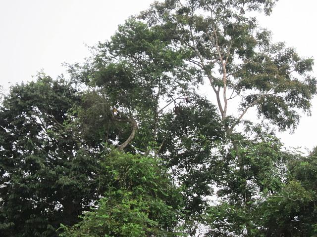 IMG 7137