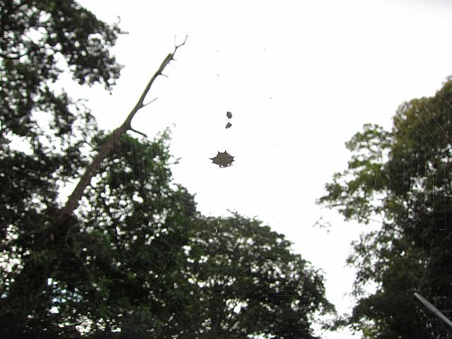 IMG 7356