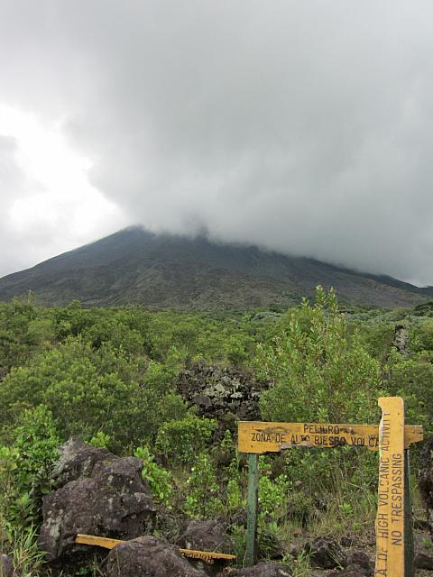 IMG 7444