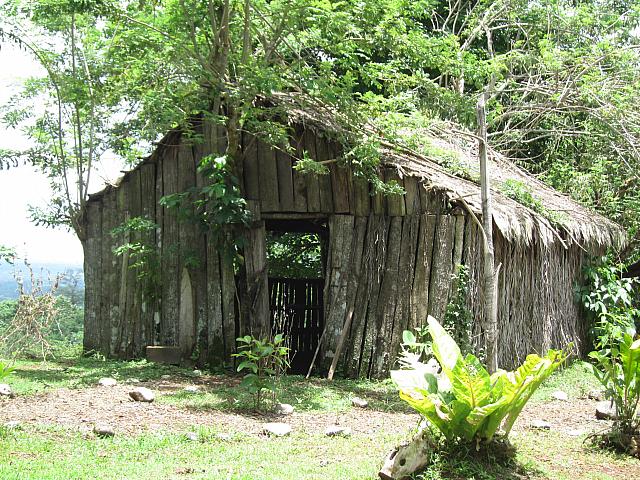 IMG 7535
