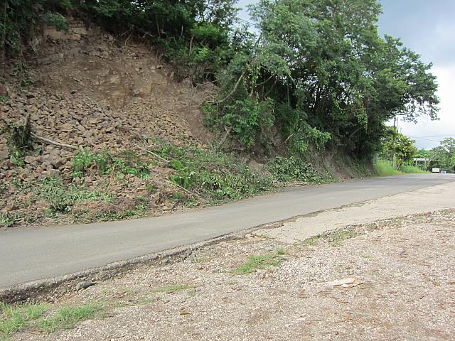 IMG 7952