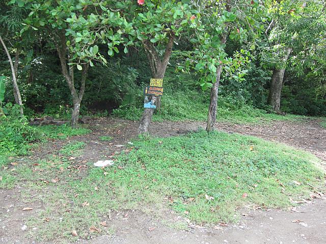 IMG 8345