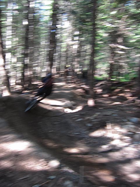 IMG 4480