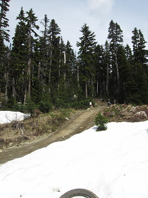 IMG 4610