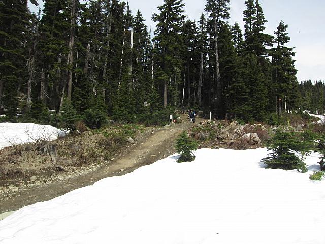 IMG 4624