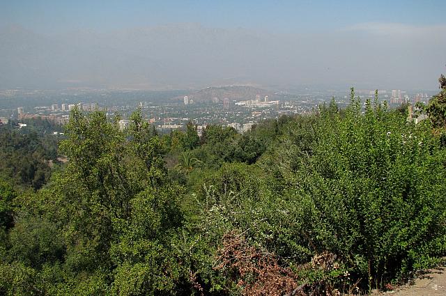 Picture 019