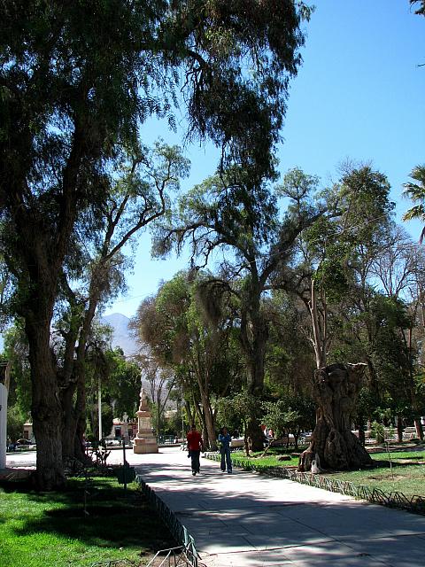 AZ 035