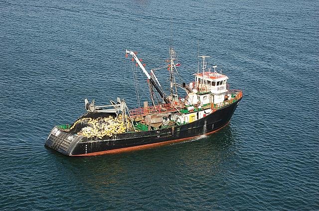 EZ077