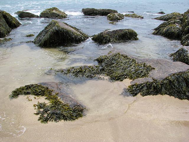 201107 115