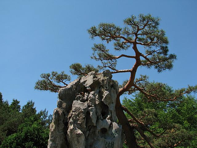 201107 1129