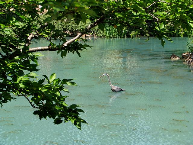 201107 1154