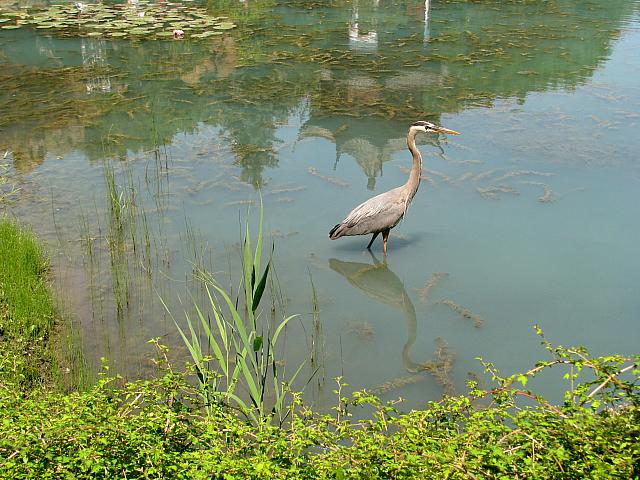 201107 1163