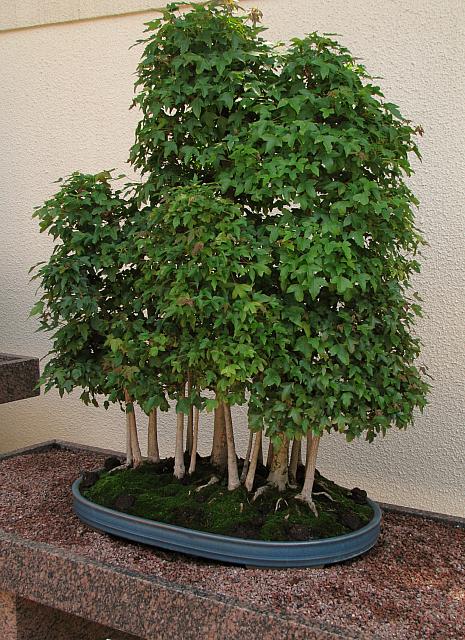 201107 1185