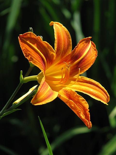 201107 1233