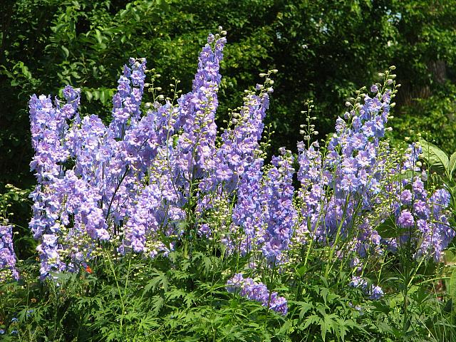 201107 1257