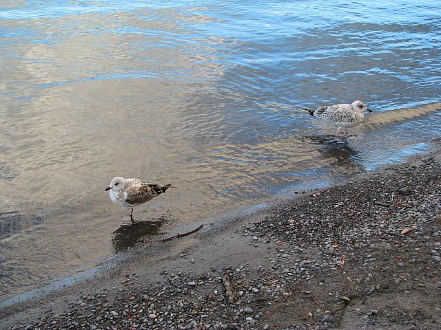 201109 029