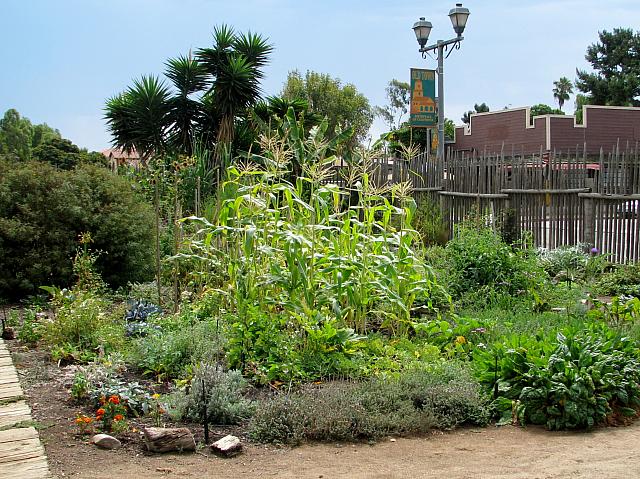 201109 347