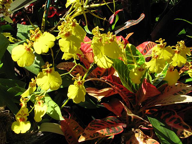 201109 403