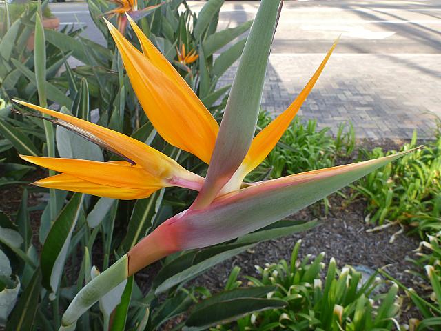 201109SAN 046