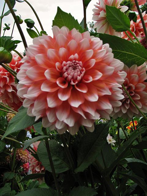 201109 018