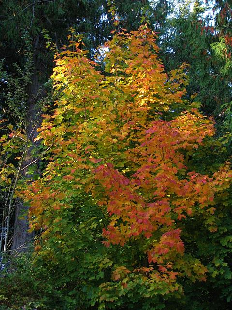 201110 055