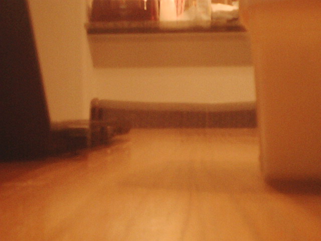IMG 0045