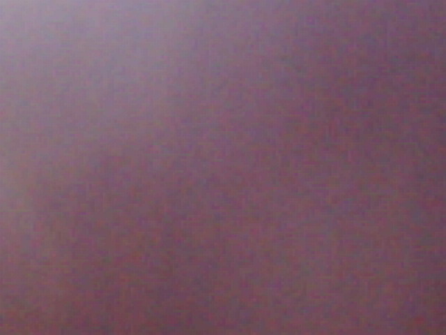 IMG 0095