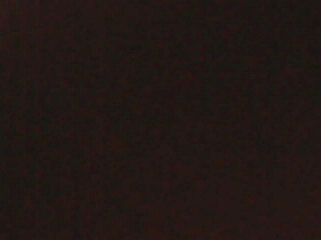 IMG 0100