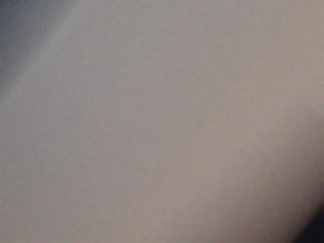 IMG 0101