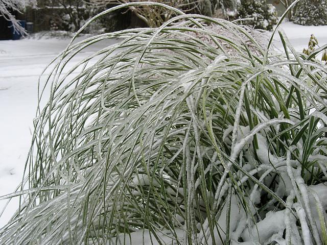 201202 011