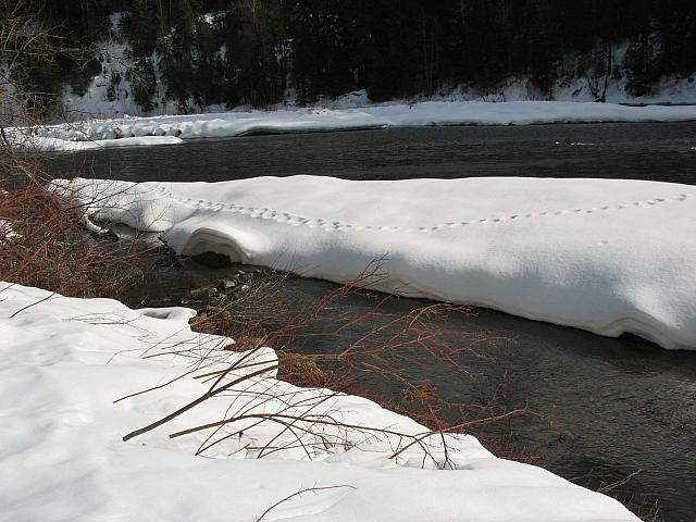 201202 013