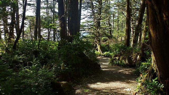 201203 042