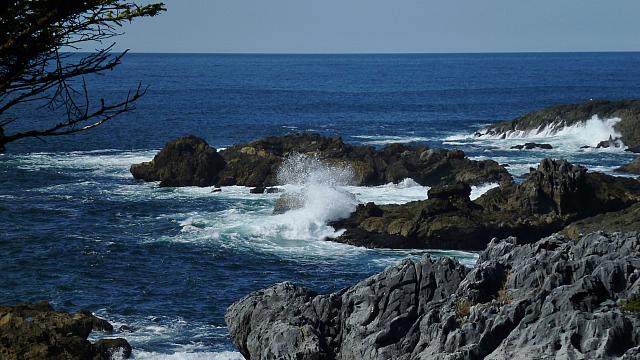 201203 082