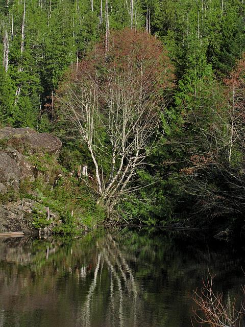 201203A 030