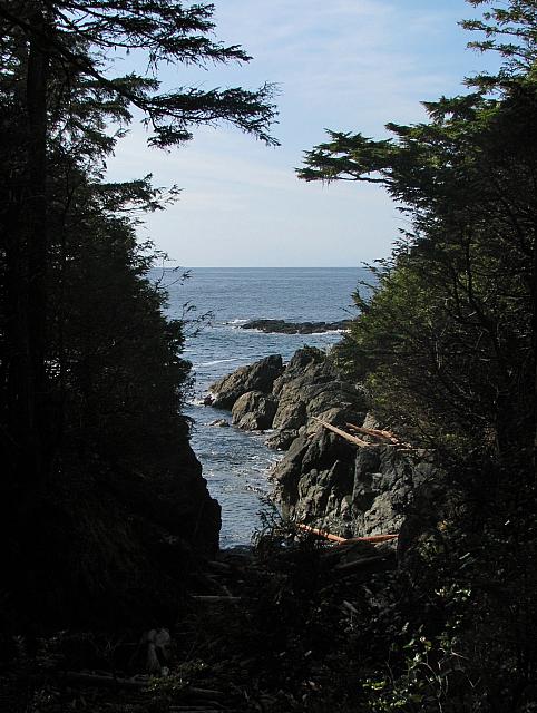 201203A 060