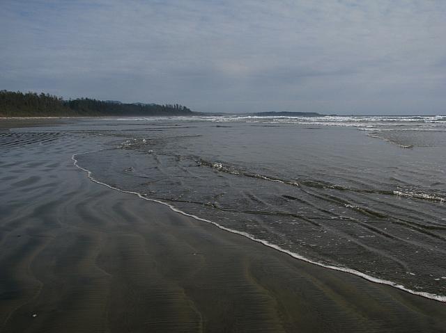 201203A 119