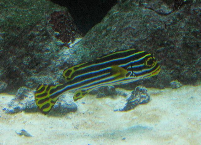 201205A2 1254