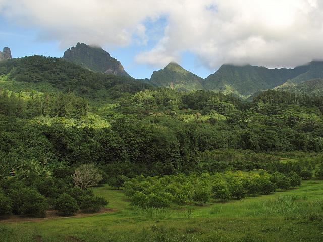Moorea
