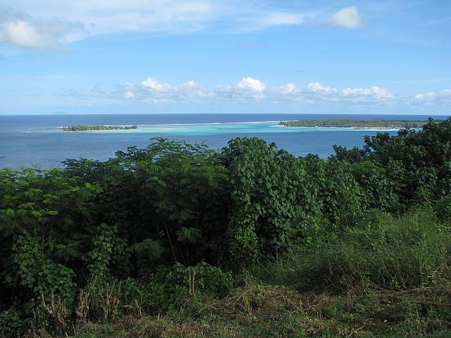 Reef and motus (coral islands on the reef)