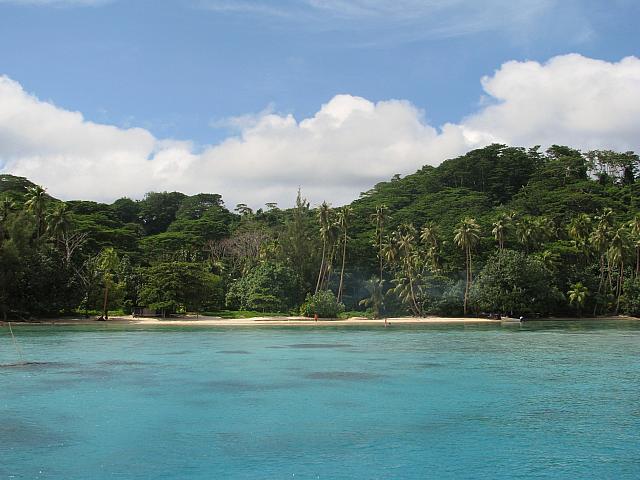 Sandy beach for picnic