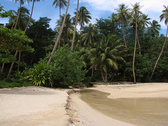 Small stream on the beach