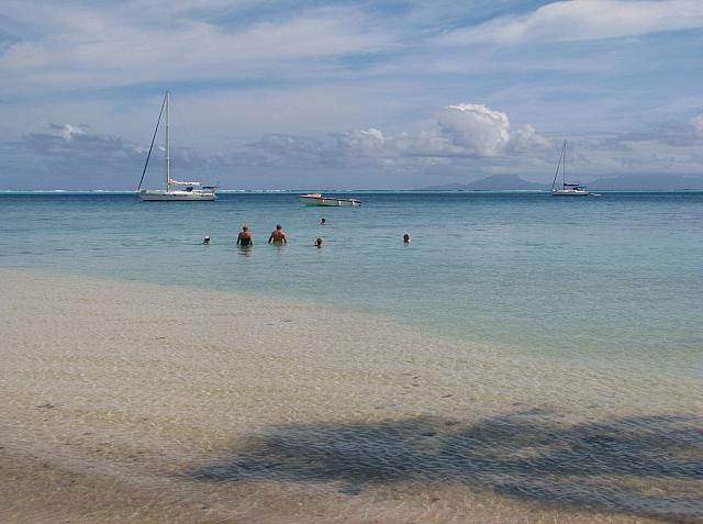 Wading in the shallow water
