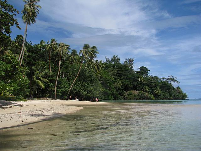 The beach