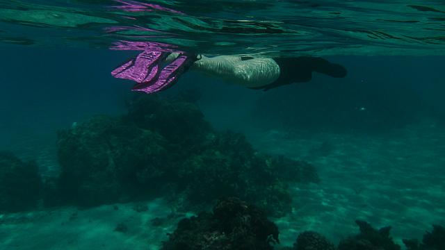 Snorkeling