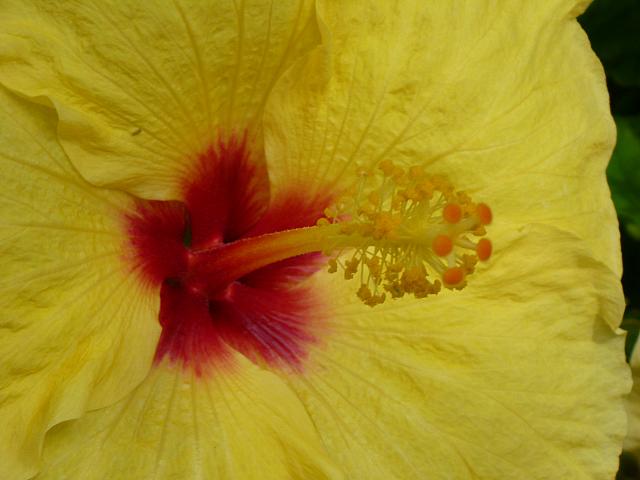 201205J 1372